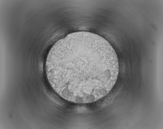 X0000111030262200908061442