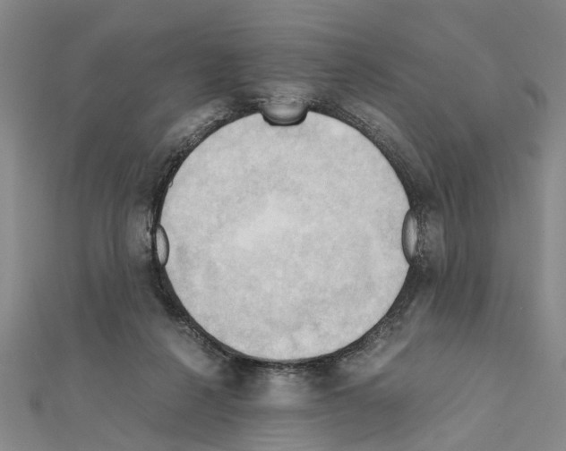 X0000111030264200908061442