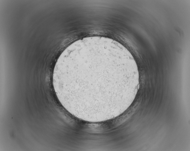 X0000111030265200908061442