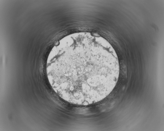 X0000111030266200908061442
