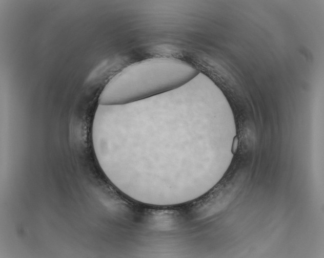 X0000111030268200908061442