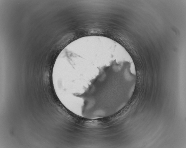 X0000111030269200908061442