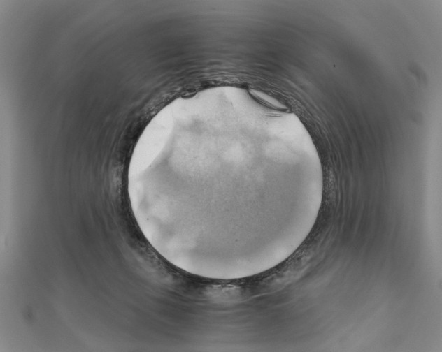 X0000111030271200908061442