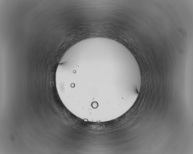 X0000111030272200908061442