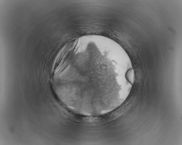 X0000111030273200908061442