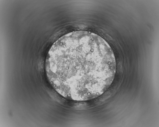 X0000111030274200908061442