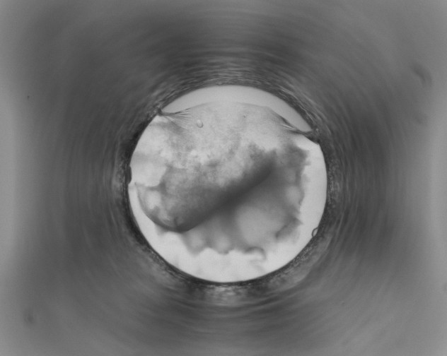 X0000111030277200908061442