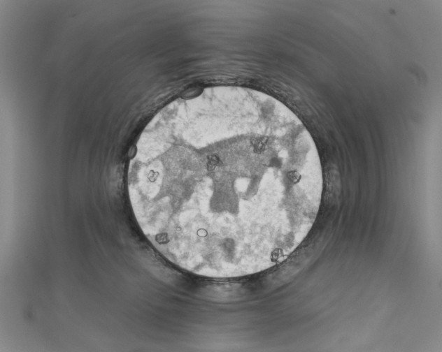 X0000111030278200908061442