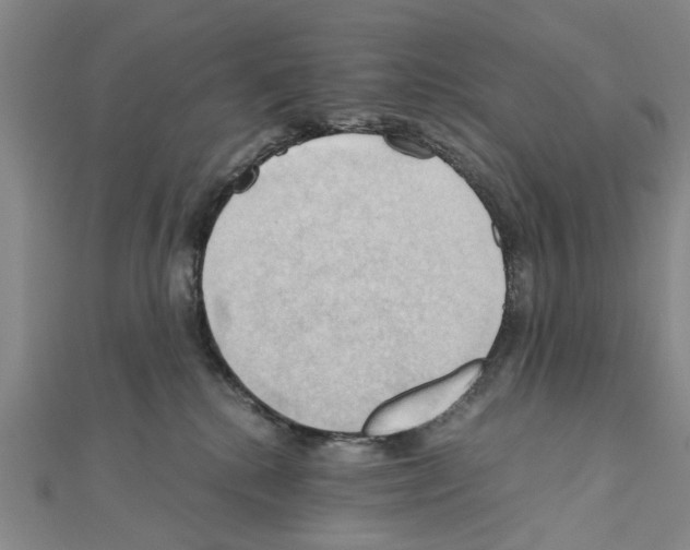X0000111030280200908061442