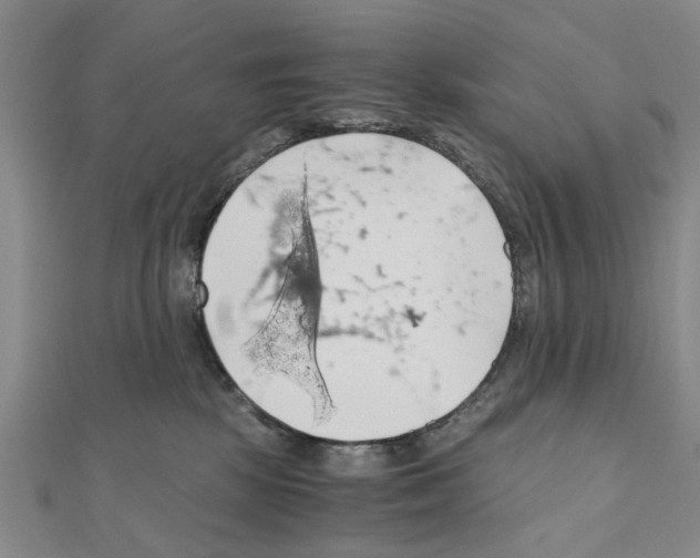 X0000111030281200908061442