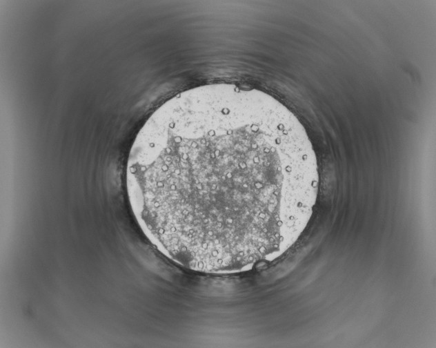 X0000111030282200908061442