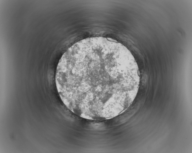 X0000111030283200908061442