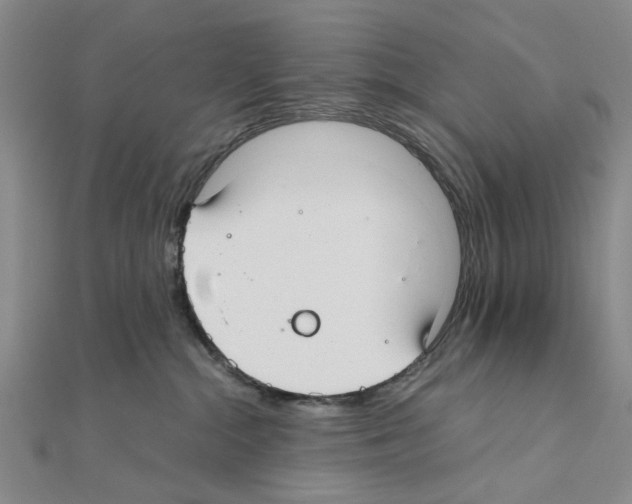 X0000111030284200908061442
