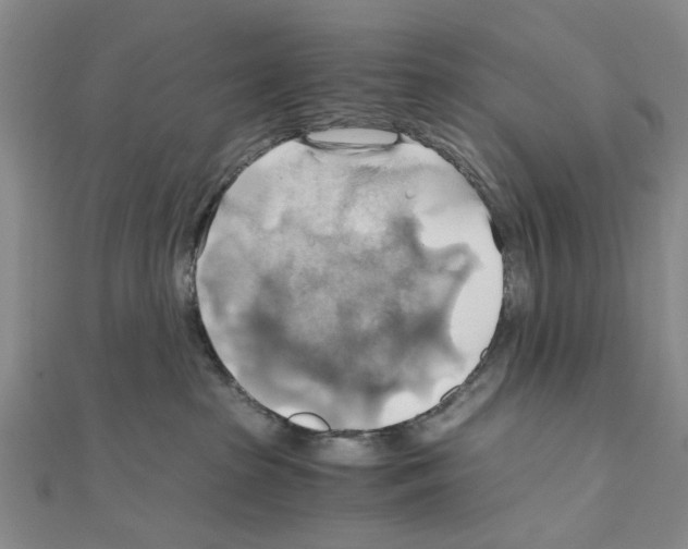 X0000111030285200908061442