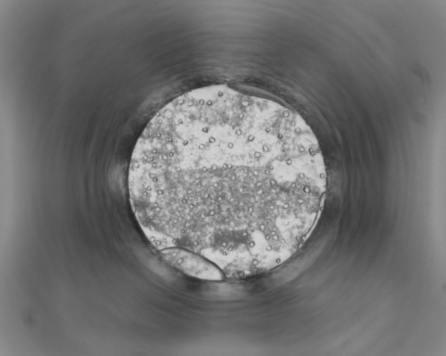 X0000111030286200908061442