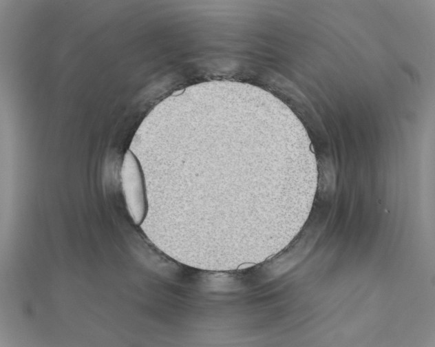 X0000111030287200908061442