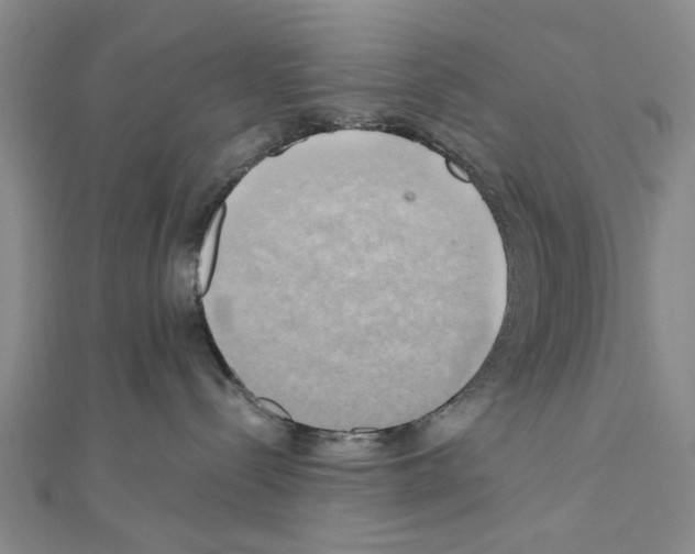 X0000111030288200908061442