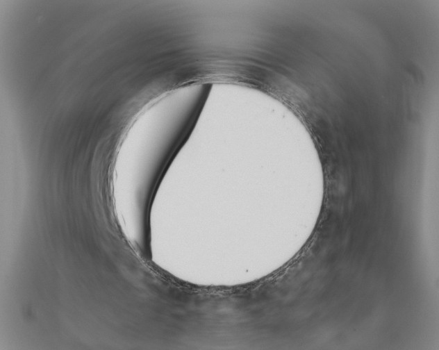 X0000111030289200908061442