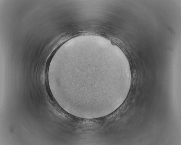 X0000111030290200908061442