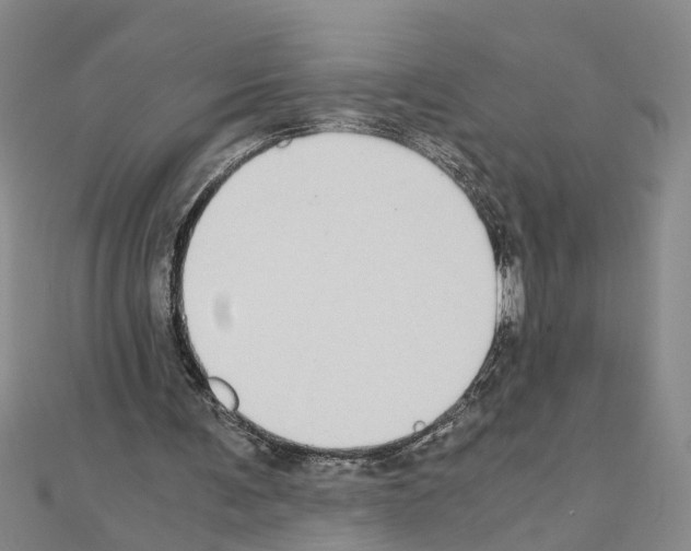X0000111030291200908061442