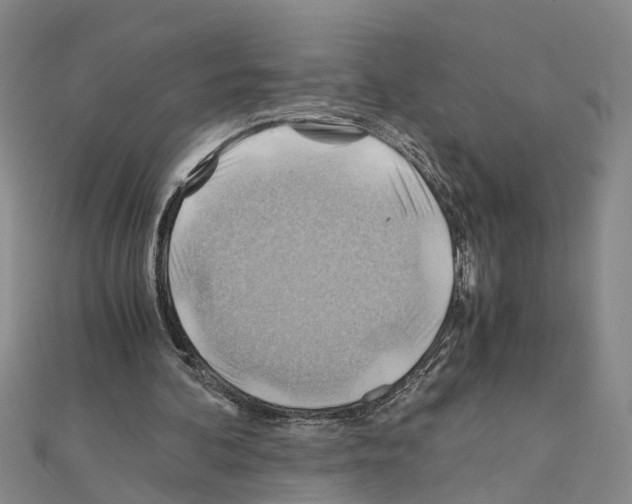X0000111030292200908061442