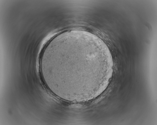 X0000111030294200908061442