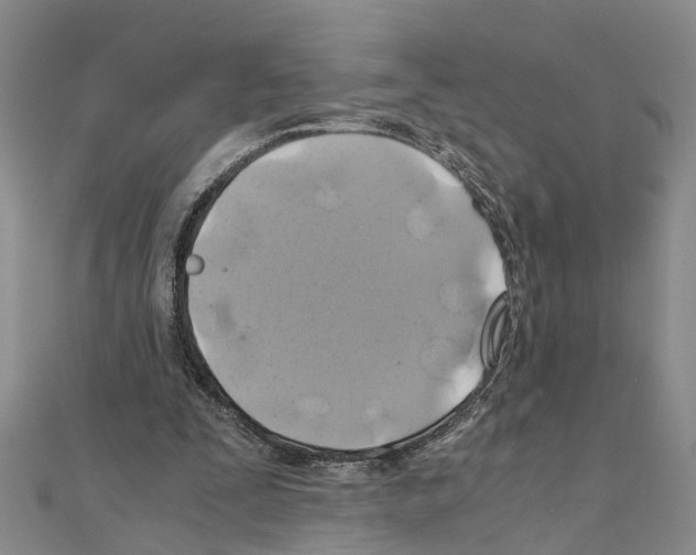 X0000111030295200908061442