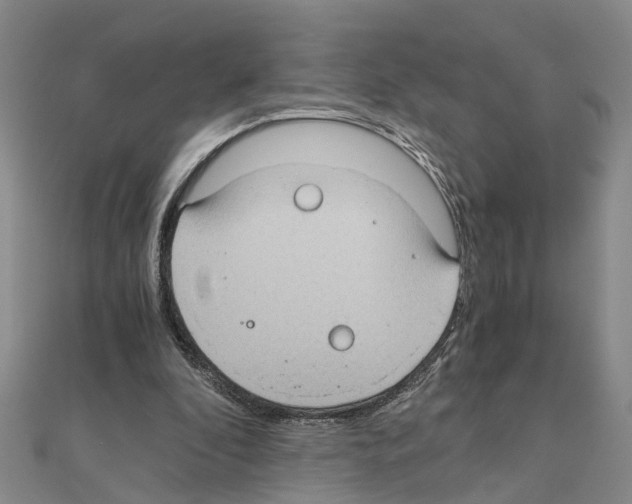 X0000111030296200908061442