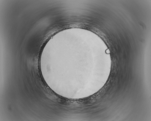 X0000111030297200908061441