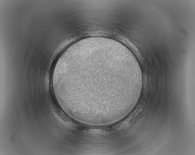 X0000111030298200908061441