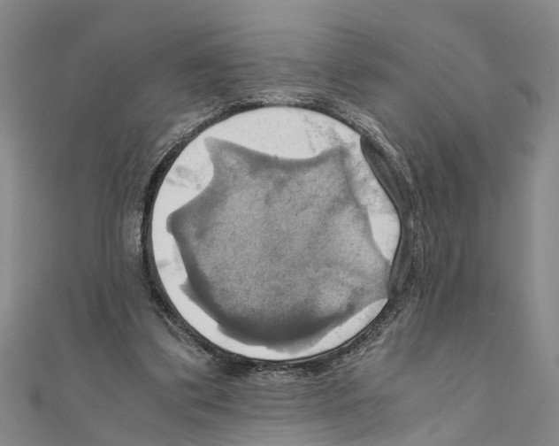 X0000111030299200908061441