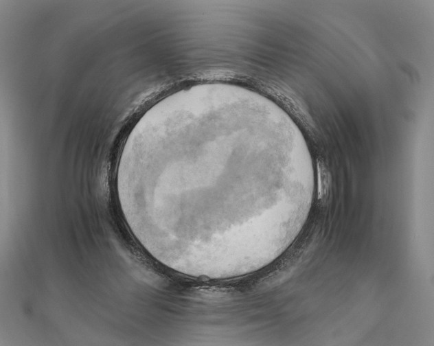 X0000111030300200908061441