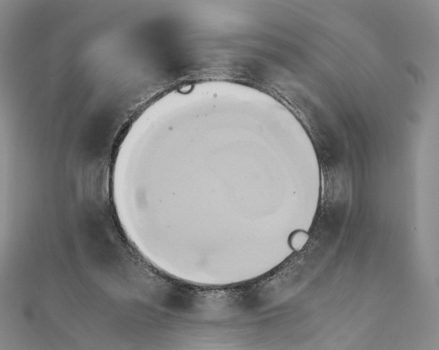 X0000111030301200908061441