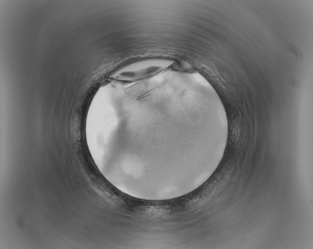 X0000111030303200908061441