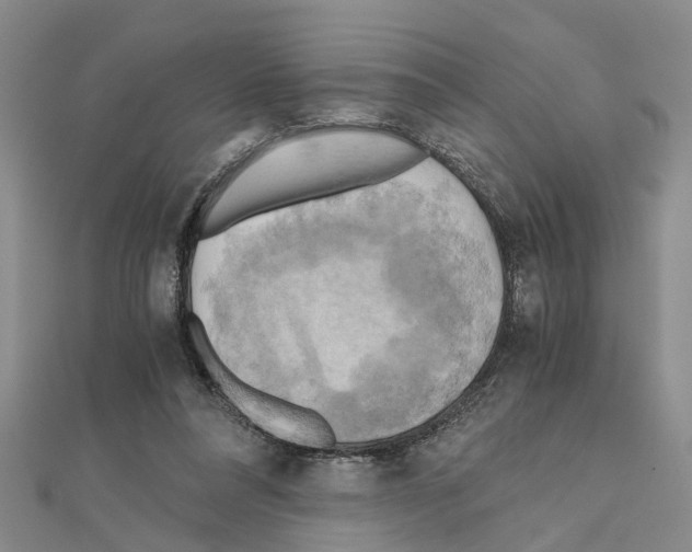 X0000111030304200908061441