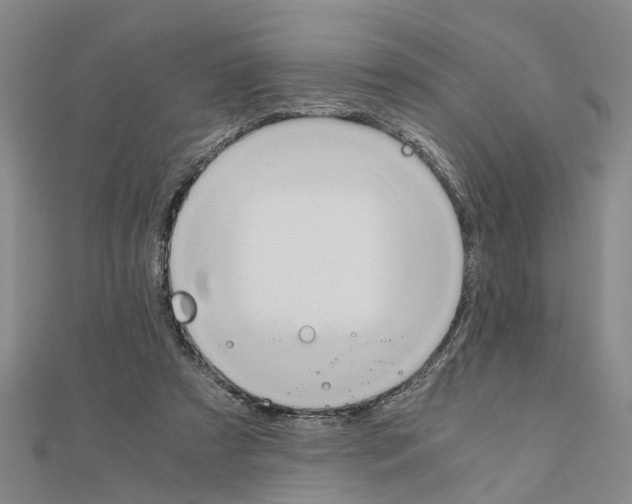 X0000111030305200908061441