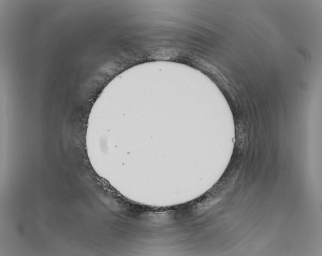 X0000111030307200908061441