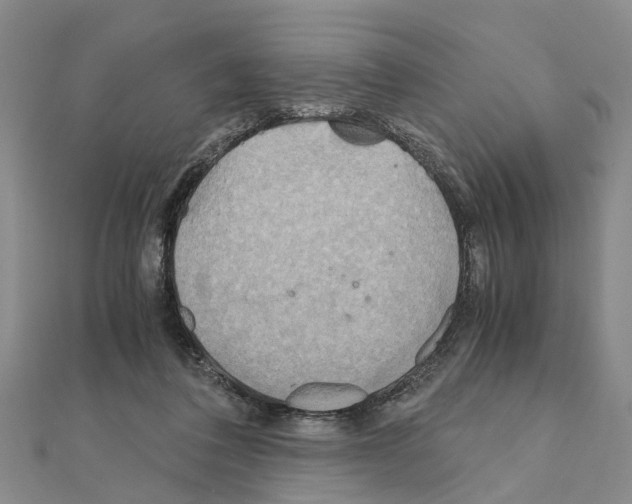 X0000111030308200908061441