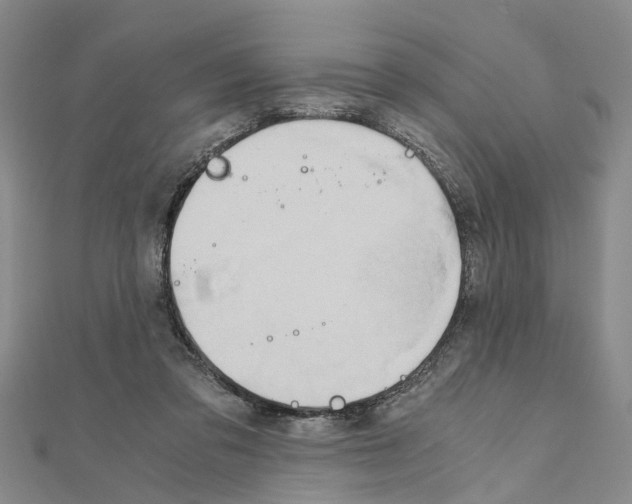 X0000111030309200908061441