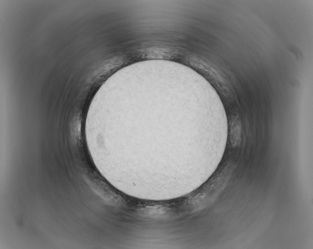 X0000111030310200908061441