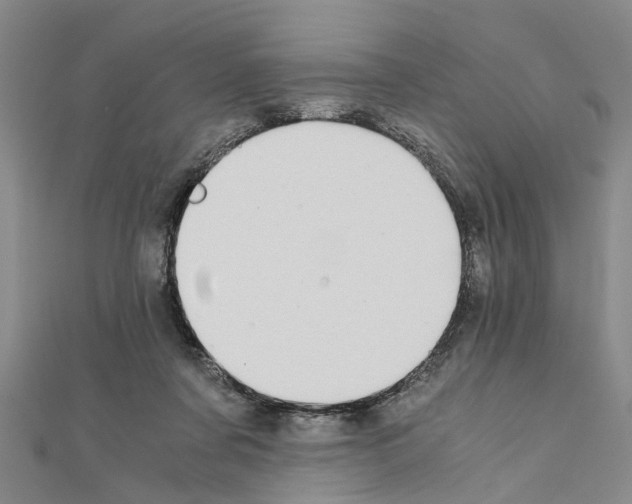 X0000111030311200908061441