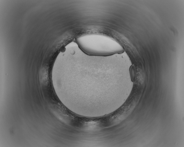 X0000111030312200908061441