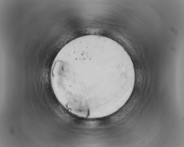 X0000111030313200908061441