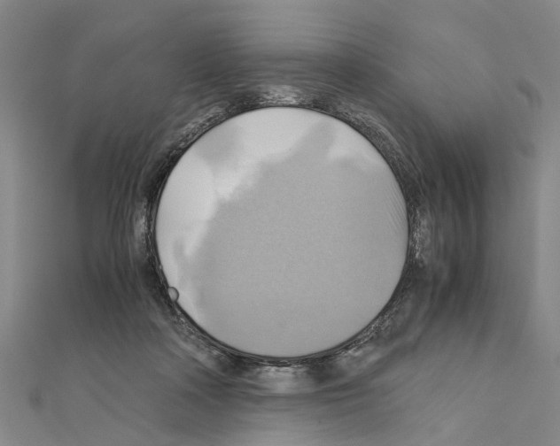 X0000111030314200908061441