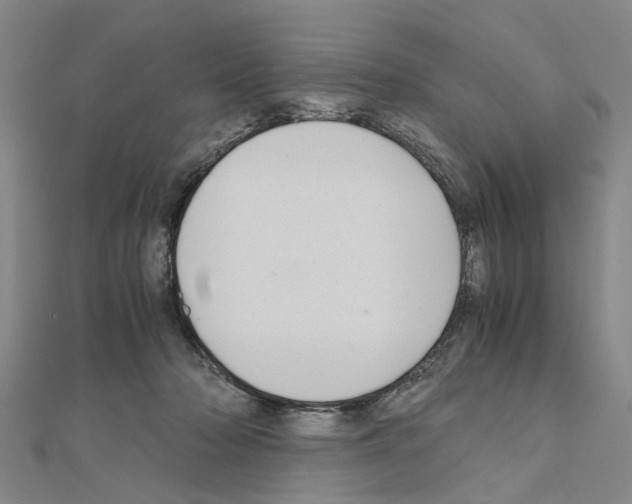X0000111030318200908061441