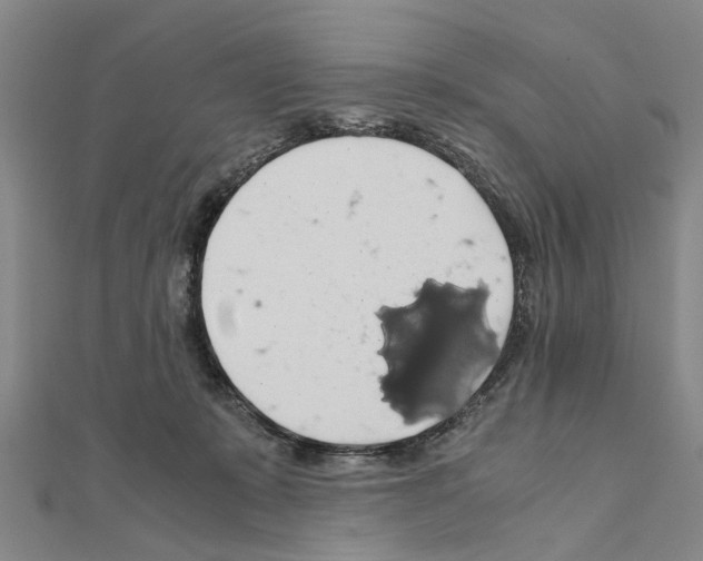 X0000111030319200908061441