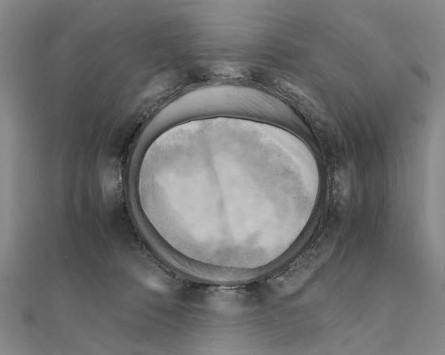X0000111030320200908061441