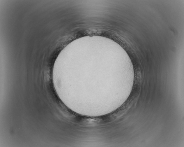X0000111030323200908061441