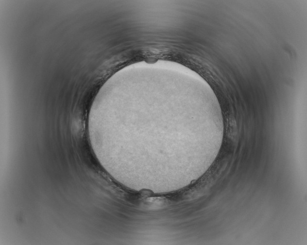 X0000111030324200908061441