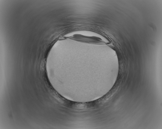 X0000111030325200908061441
